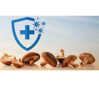 Immune-Boosting Properties of Medicinal Mushrooms